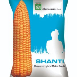 MAIZE - Mahalaxmi Seeds