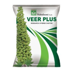 Veer Plus