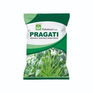 Pragati