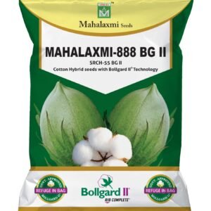 Mahalaxmi-888
