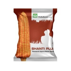 Shanti Plus